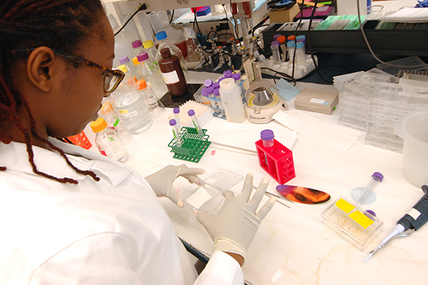 Researcher performing lab tests