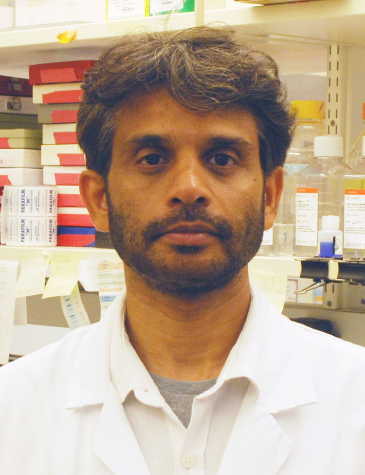 Lab Members | Zhang Laboratory | Faculty Research Labs | Cancer Biology ...