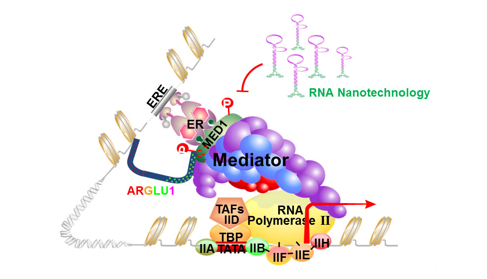 Zhang Lab