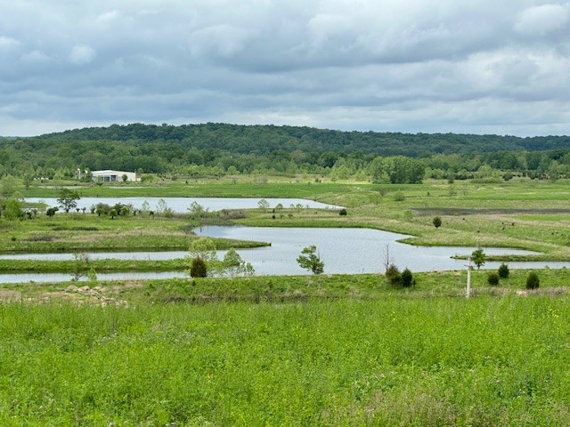 grounds at fernald preserve
