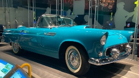 thunderbird