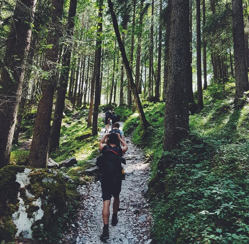 people hiking on a trail in a wooded area