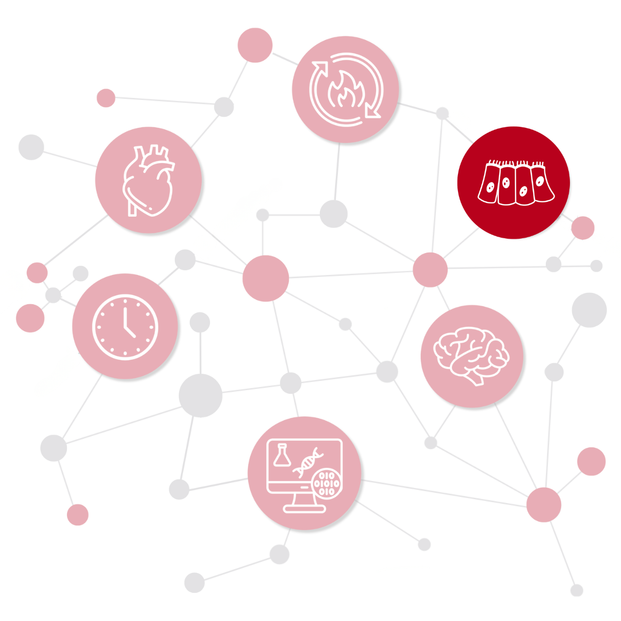 Photo of Heart in Logo