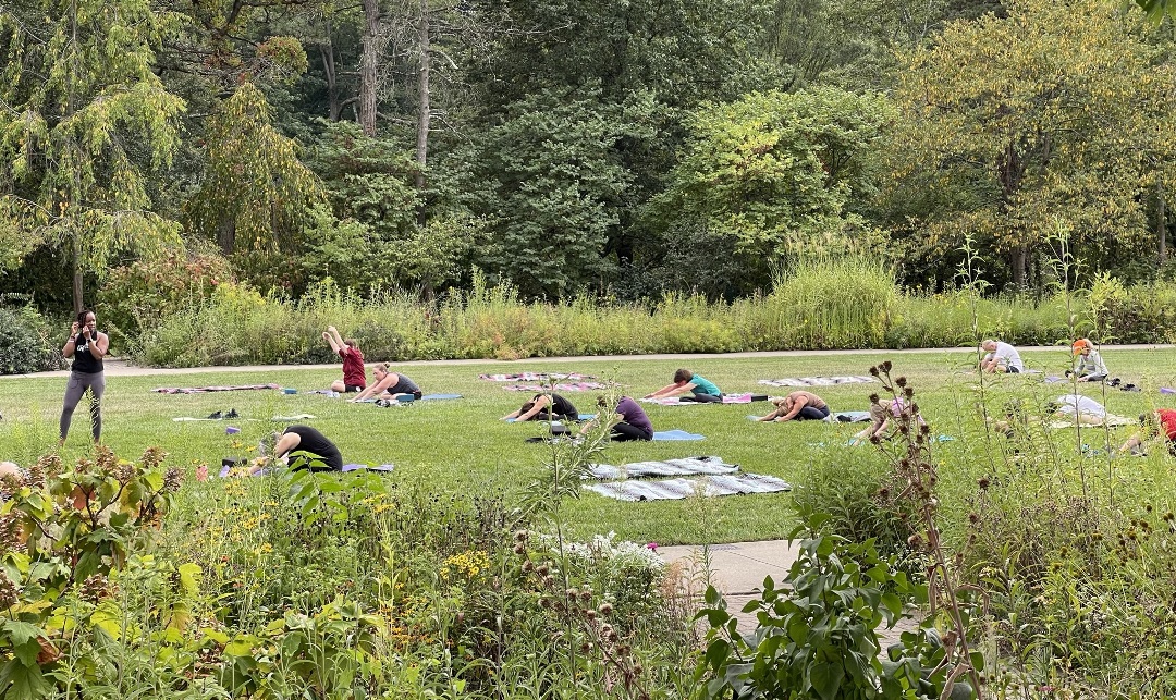 group of people practicing yoga in ault park