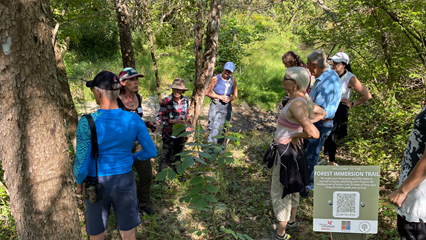 a group of people in the woods with the forest immersion trail sign