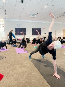 group of people on yoga mats planking