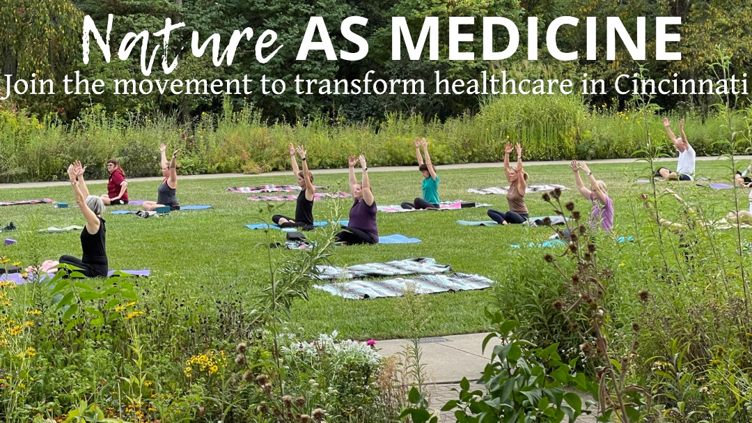 People doing yoga on grass