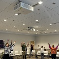 group of people doing tai chi
