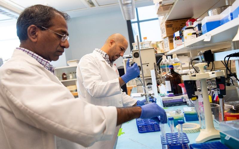 Qi Lab Home Image Image of Dr. Qi in the Lab