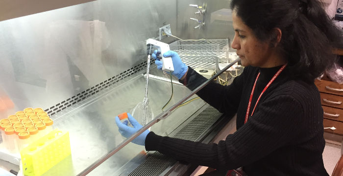 researcher-in-lab researcher in lab