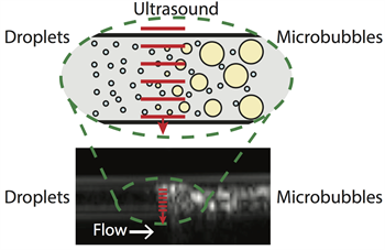 Adv Figure 1