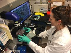 Hudock in laboratory