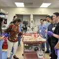 Students in medical lab