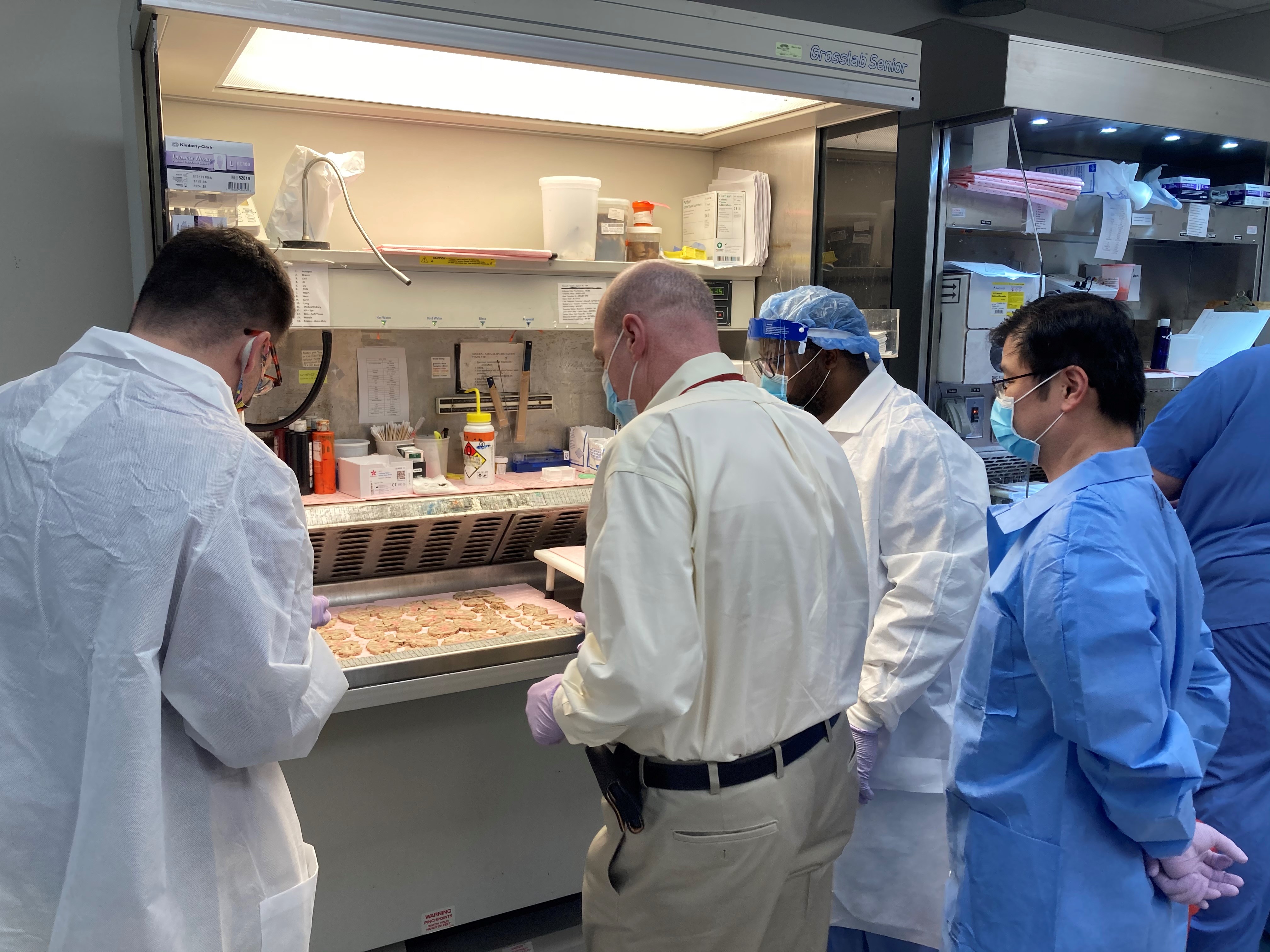 Review of Brain Cutting