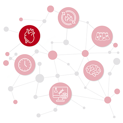 Photo of Heart in Logo