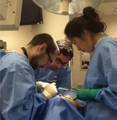 Layer 3 Residents performing surgery