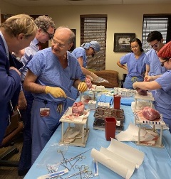 Simulation_3 residents and teachers practicing surgery