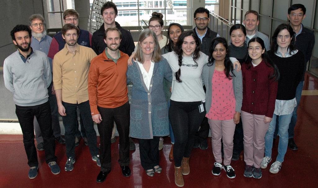 picture of ultrasound members